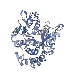 4861_6rf2_b_v1-2
Cryo-EM structure of the C-terminal DC repeat (CDC) of human doublecortin (DCX) bound to 13-protofilament GDP.Pi-microtubule
