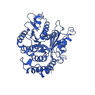 4862_6rf8_A_v1-0
Cryo-EM structure of the N-terminal DC repeat (NDC) of NDC-NDC chimera (human sequence) bound to 13-protofilament GDP-microtubule