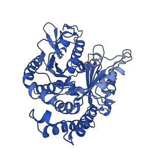 4862_6rf8_B_v1-0
Cryo-EM structure of the N-terminal DC repeat (NDC) of NDC-NDC chimera (human sequence) bound to 13-protofilament GDP-microtubule