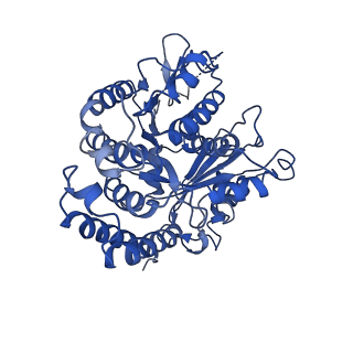 4862_6rf8_a_v1-0
Cryo-EM structure of the N-terminal DC repeat (NDC) of NDC-NDC chimera (human sequence) bound to 13-protofilament GDP-microtubule