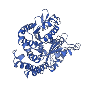 4862_6rf8_b_v1-0
Cryo-EM structure of the N-terminal DC repeat (NDC) of NDC-NDC chimera (human sequence) bound to 13-protofilament GDP-microtubule