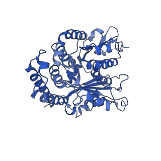 4863_6rfd_A_v1-2
Cryo-EM structure of the N-terminal DC repeat (NDC) of NDC-NDC chimera (human sequence) bound to 14-protofilament GDP-microtubule