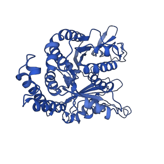 4863_6rfd_B_v1-2
Cryo-EM structure of the N-terminal DC repeat (NDC) of NDC-NDC chimera (human sequence) bound to 14-protofilament GDP-microtubule