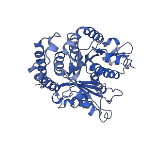 4863_6rfd_a_v1-2
Cryo-EM structure of the N-terminal DC repeat (NDC) of NDC-NDC chimera (human sequence) bound to 14-protofilament GDP-microtubule