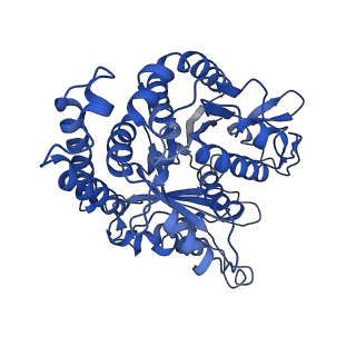 4863_6rfd_b_v1-2
Cryo-EM structure of the N-terminal DC repeat (NDC) of NDC-NDC chimera (human sequence) bound to 14-protofilament GDP-microtubule