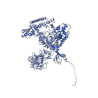 4868_6rfl_A_v1-1
Structure of the complete Vaccinia DNA-dependent RNA polymerase complex