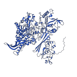 4868_6rfl_B_v1-1
Structure of the complete Vaccinia DNA-dependent RNA polymerase complex