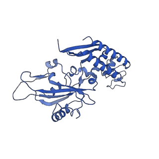 4868_6rfl_C_v1-1
Structure of the complete Vaccinia DNA-dependent RNA polymerase complex