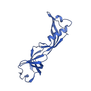 4868_6rfl_G_v1-1
Structure of the complete Vaccinia DNA-dependent RNA polymerase complex