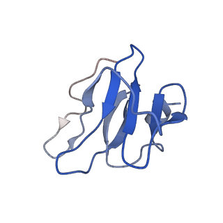4868_6rfl_K_v1-1
Structure of the complete Vaccinia DNA-dependent RNA polymerase complex