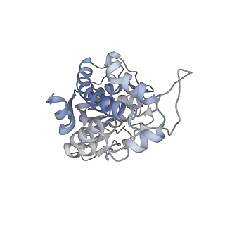 4868_6rfl_L_v1-1
Structure of the complete Vaccinia DNA-dependent RNA polymerase complex