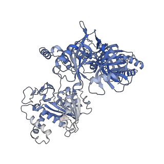 4868_6rfl_O_v1-1
Structure of the complete Vaccinia DNA-dependent RNA polymerase complex