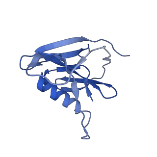 4868_6rfl_Q_v1-1
Structure of the complete Vaccinia DNA-dependent RNA polymerase complex