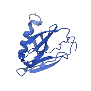 4868_6rfl_R_v1-1
Structure of the complete Vaccinia DNA-dependent RNA polymerase complex