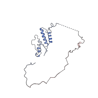 4868_6rfl_S_v1-1
Structure of the complete Vaccinia DNA-dependent RNA polymerase complex
