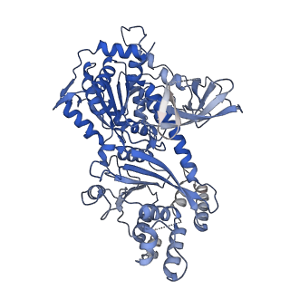 4868_6rfl_Y_v1-1
Structure of the complete Vaccinia DNA-dependent RNA polymerase complex