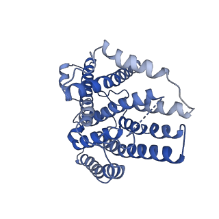 4872_6rfq_1_v1-2
Cryo-EM structure of a respiratory complex I assembly intermediate with NDUFAF2