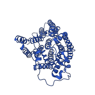 4872_6rfq_2_v1-2
Cryo-EM structure of a respiratory complex I assembly intermediate with NDUFAF2