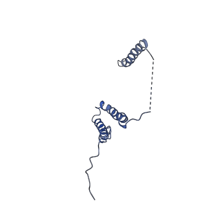 4872_6rfq_3_v1-2
Cryo-EM structure of a respiratory complex I assembly intermediate with NDUFAF2