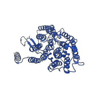 4872_6rfq_4_v1-2
Cryo-EM structure of a respiratory complex I assembly intermediate with NDUFAF2