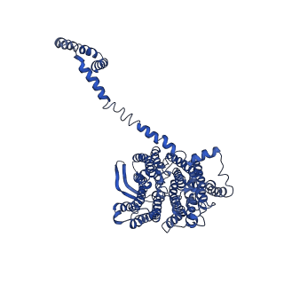4872_6rfq_5_v1-2
Cryo-EM structure of a respiratory complex I assembly intermediate with NDUFAF2