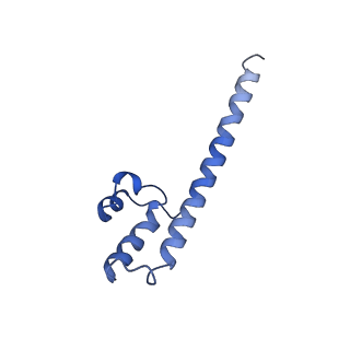 4872_6rfq_8_v1-2
Cryo-EM structure of a respiratory complex I assembly intermediate with NDUFAF2