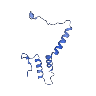 4872_6rfq_9_v1-2
Cryo-EM structure of a respiratory complex I assembly intermediate with NDUFAF2