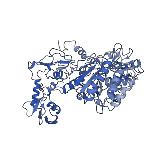 4872_6rfq_A_v1-2
Cryo-EM structure of a respiratory complex I assembly intermediate with NDUFAF2