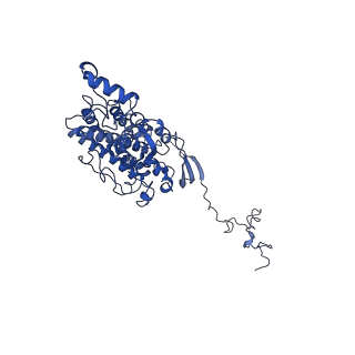 4872_6rfq_C_v1-2
Cryo-EM structure of a respiratory complex I assembly intermediate with NDUFAF2
