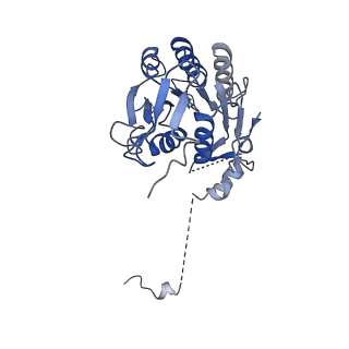 4872_6rfq_E_v1-2
Cryo-EM structure of a respiratory complex I assembly intermediate with NDUFAF2