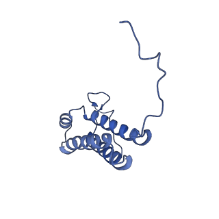 4872_6rfq_F_v1-2
Cryo-EM structure of a respiratory complex I assembly intermediate with NDUFAF2