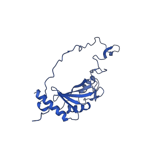 4872_6rfq_G_v1-2
Cryo-EM structure of a respiratory complex I assembly intermediate with NDUFAF2