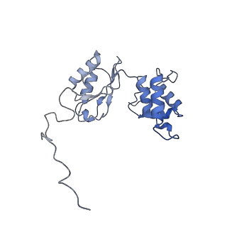 4872_6rfq_H_v1-2
Cryo-EM structure of a respiratory complex I assembly intermediate with NDUFAF2