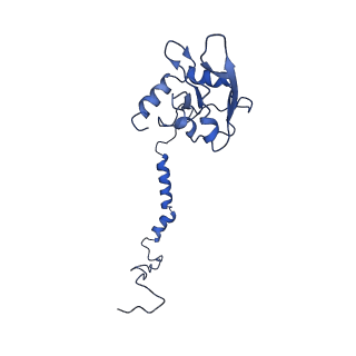4872_6rfq_I_v1-2
Cryo-EM structure of a respiratory complex I assembly intermediate with NDUFAF2