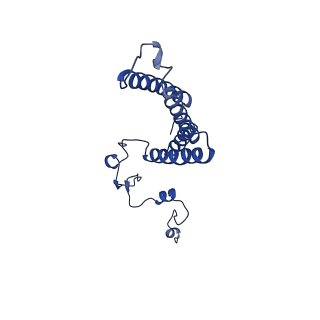 4872_6rfq_J_v1-2
Cryo-EM structure of a respiratory complex I assembly intermediate with NDUFAF2