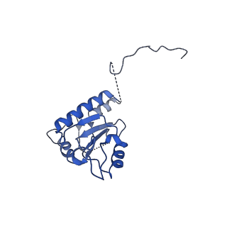 4872_6rfq_K_v1-2
Cryo-EM structure of a respiratory complex I assembly intermediate with NDUFAF2