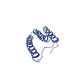 4872_6rfq_L_v1-2
Cryo-EM structure of a respiratory complex I assembly intermediate with NDUFAF2