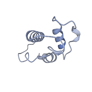4872_6rfq_O_v1-2
Cryo-EM structure of a respiratory complex I assembly intermediate with NDUFAF2