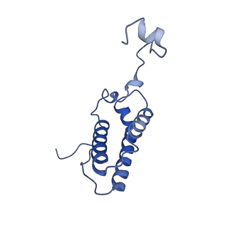 4872_6rfq_P_v1-2
Cryo-EM structure of a respiratory complex I assembly intermediate with NDUFAF2