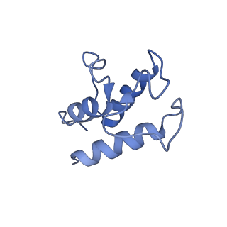 4872_6rfq_Q_v1-2
Cryo-EM structure of a respiratory complex I assembly intermediate with NDUFAF2