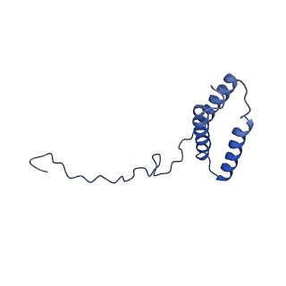 4872_6rfq_R_v1-2
Cryo-EM structure of a respiratory complex I assembly intermediate with NDUFAF2