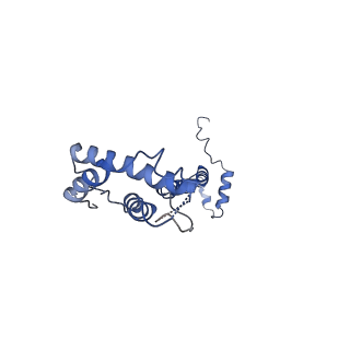4872_6rfq_S_v1-2
Cryo-EM structure of a respiratory complex I assembly intermediate with NDUFAF2