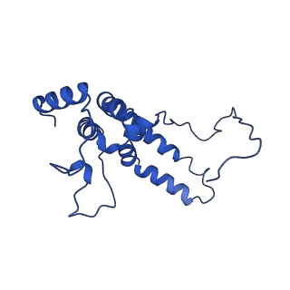 4872_6rfq_U_v1-2
Cryo-EM structure of a respiratory complex I assembly intermediate with NDUFAF2