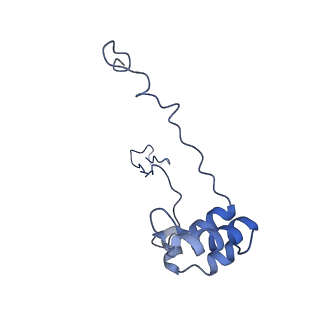 4872_6rfq_Z_v1-2
Cryo-EM structure of a respiratory complex I assembly intermediate with NDUFAF2