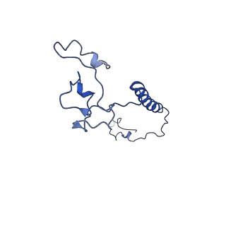 4872_6rfq_a_v1-2
Cryo-EM structure of a respiratory complex I assembly intermediate with NDUFAF2