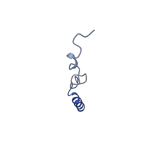 4872_6rfq_c_v1-2
Cryo-EM structure of a respiratory complex I assembly intermediate with NDUFAF2