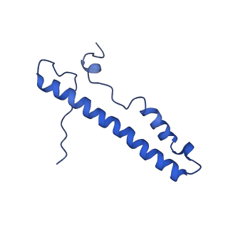 4872_6rfq_d_v1-2
Cryo-EM structure of a respiratory complex I assembly intermediate with NDUFAF2