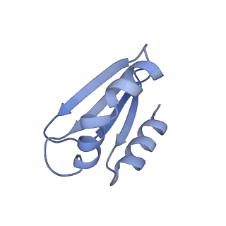 4872_6rfq_f_v1-2
Cryo-EM structure of a respiratory complex I assembly intermediate with NDUFAF2