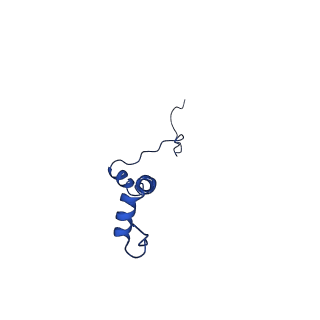 4872_6rfq_g_v1-2
Cryo-EM structure of a respiratory complex I assembly intermediate with NDUFAF2