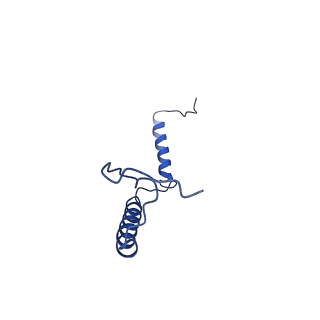 4872_6rfq_i_v1-2
Cryo-EM structure of a respiratory complex I assembly intermediate with NDUFAF2